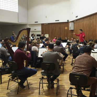 ensayo cox