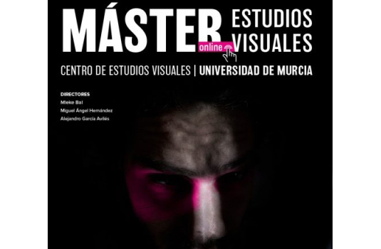 estudios visuales