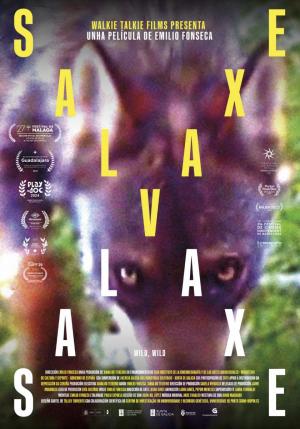 filmoteca